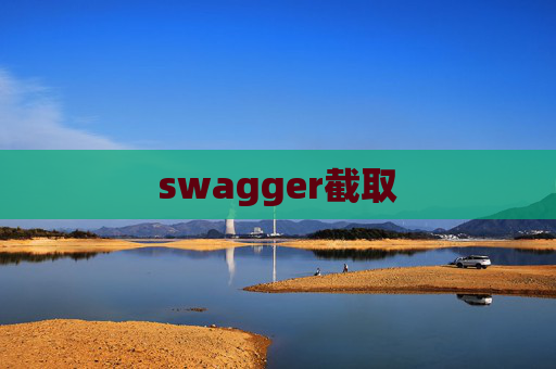 swagger截取